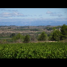 Im Hintergrund die Pyrenäen